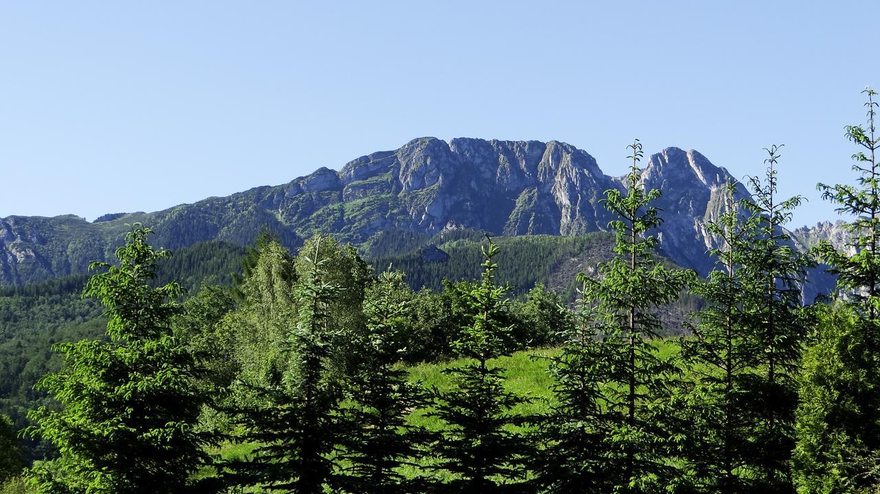Apartament Promyk Pod Lipkami Zakopane Zewnętrze zdjęcie