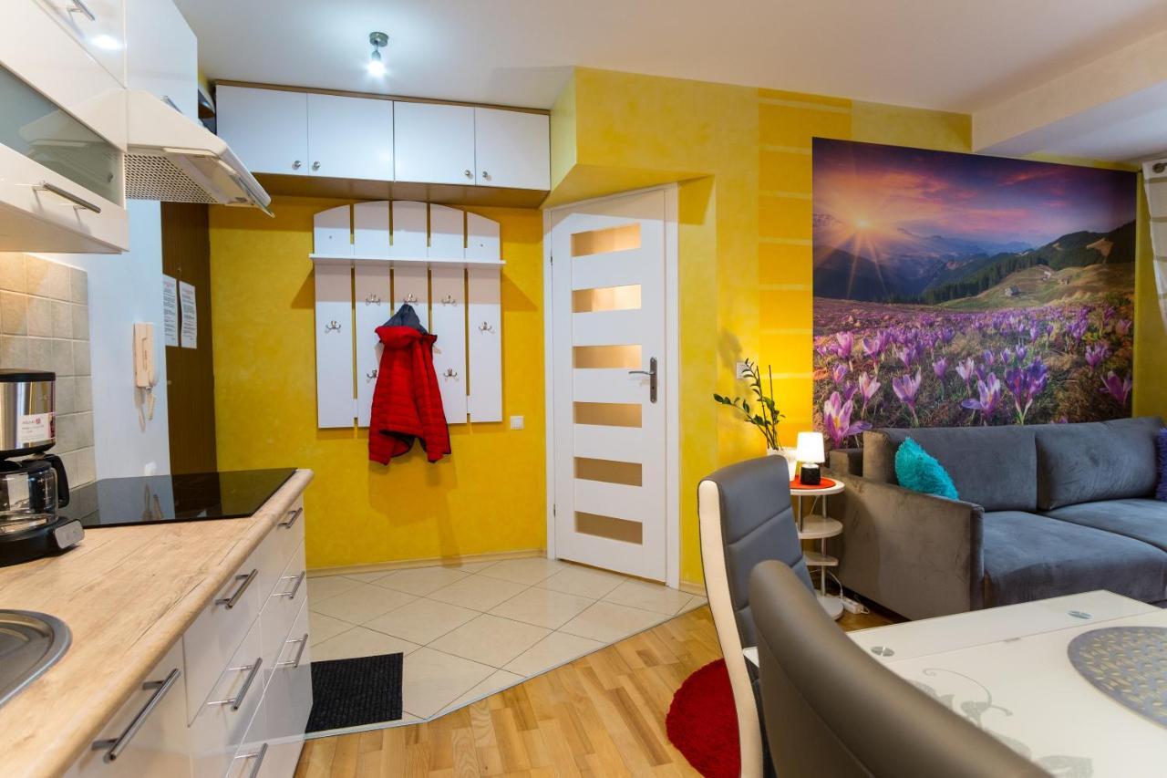 Apartament Promyk Pod Lipkami Zakopane Zewnętrze zdjęcie